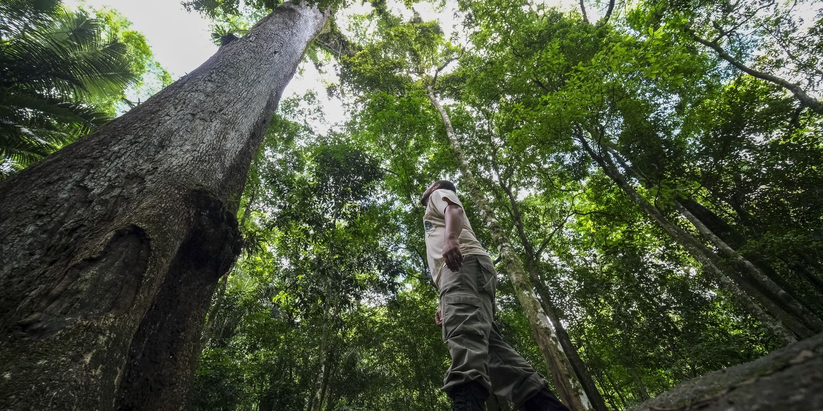 COP30: Brasil lança carta com 30 objetivos para proteção do clima