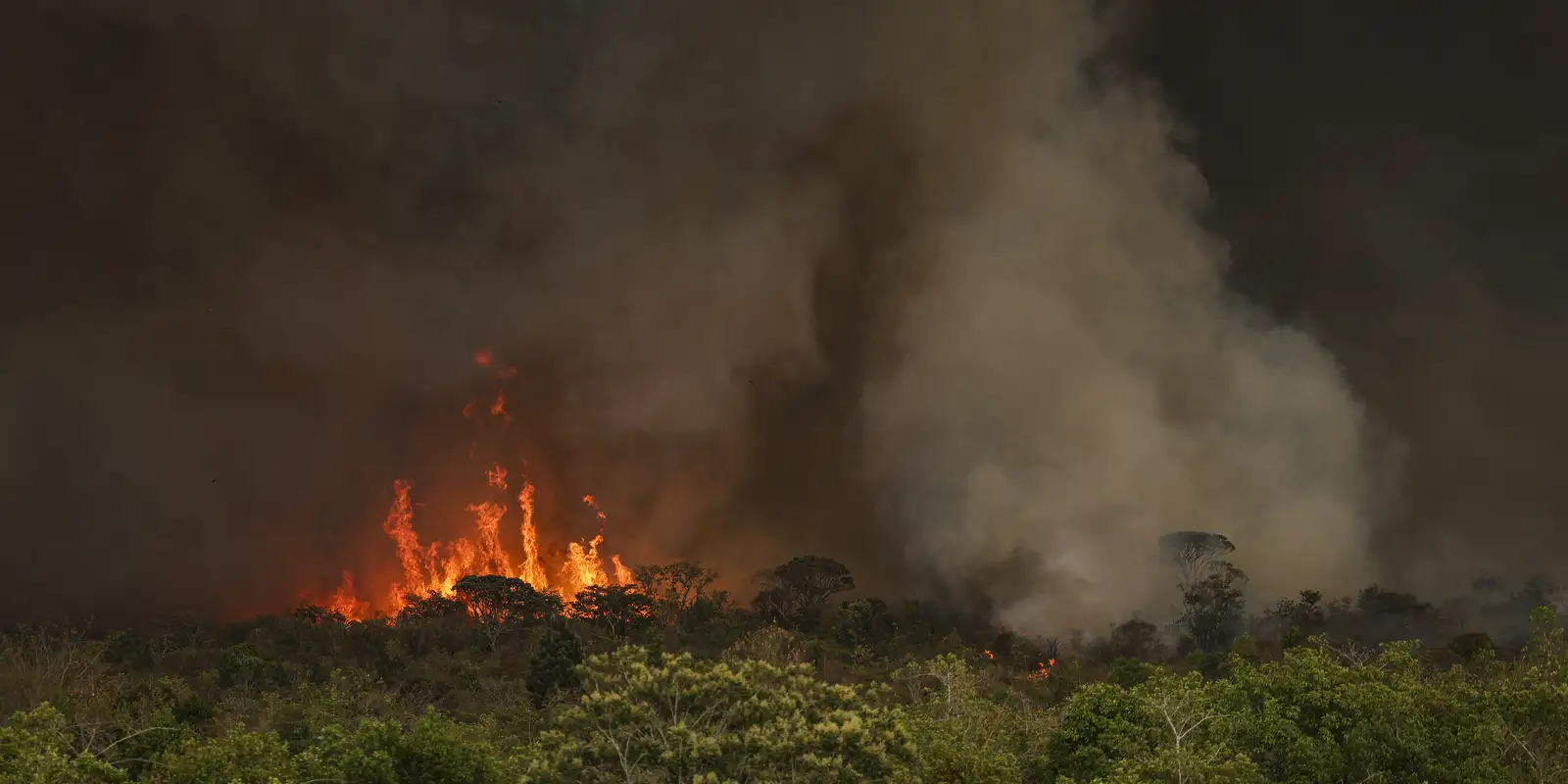 Queimadas atingiram 30 milhões de hectares no país em 2024