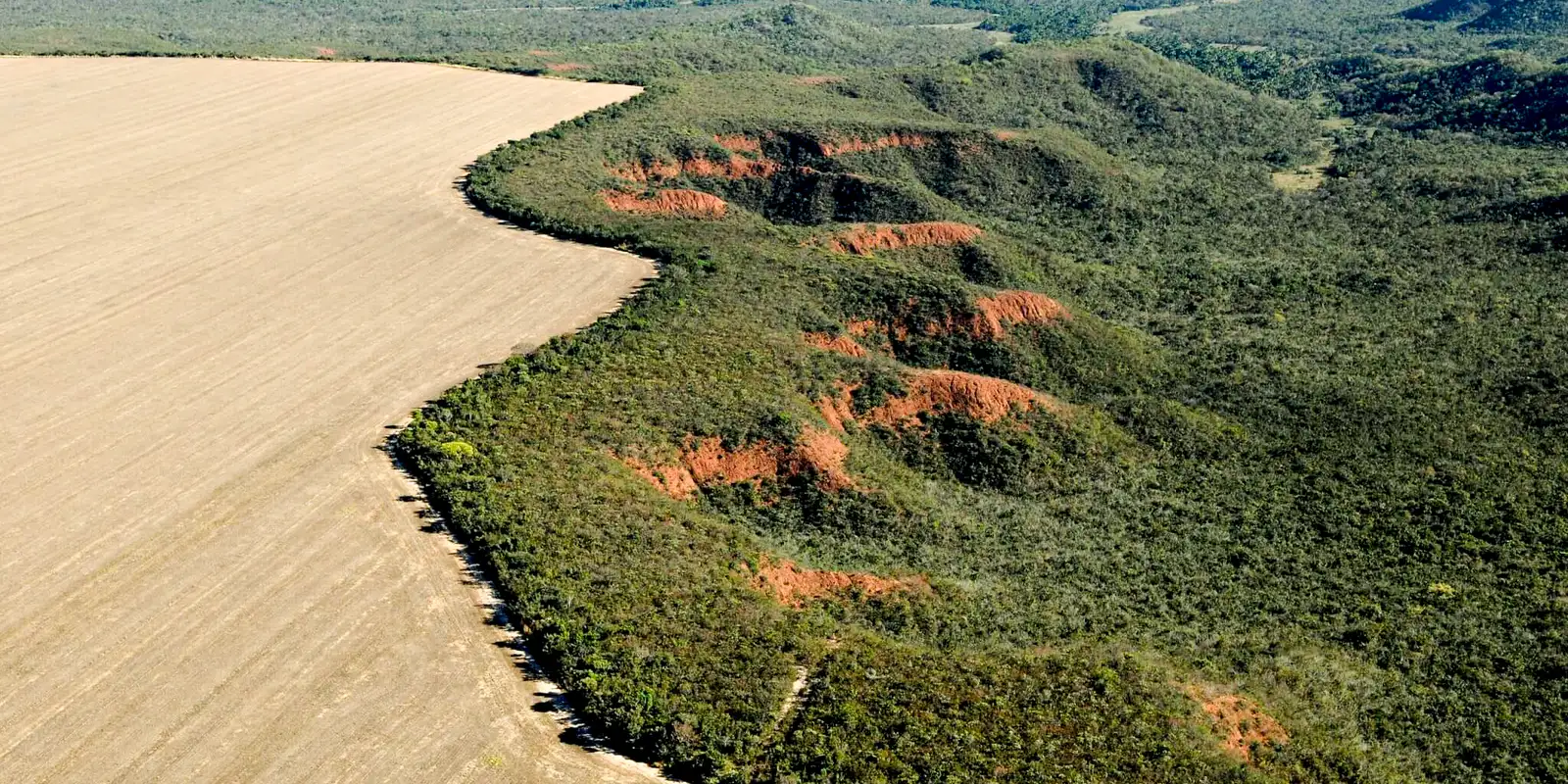 Câmara aprova novas regras para licenciamento ambiental