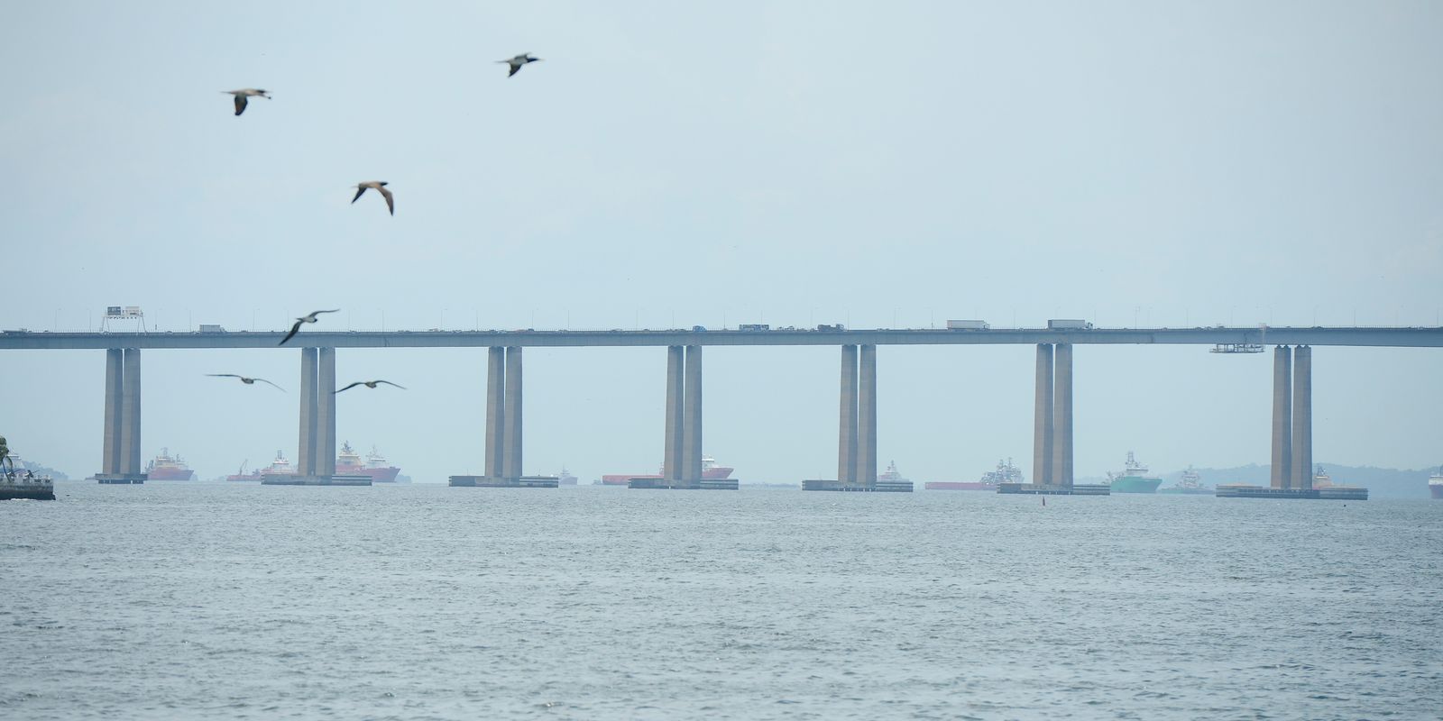 Corrida Desafio da Ponte reúne 8 mil pessoas no Rio de Janeiro