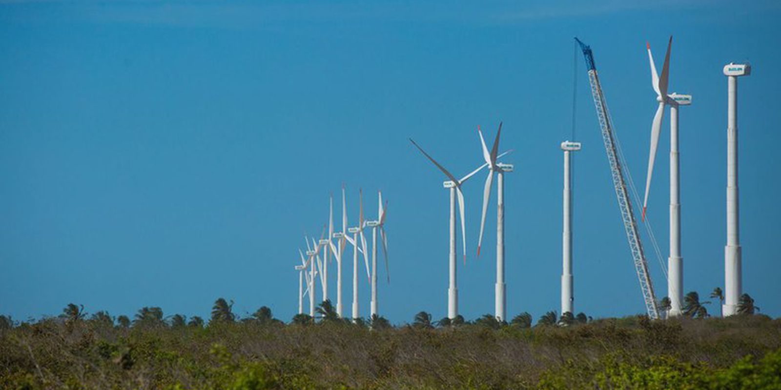 BNDES lança edital para impulsionar desenvolvimento sustentável